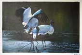 Larger Paintings