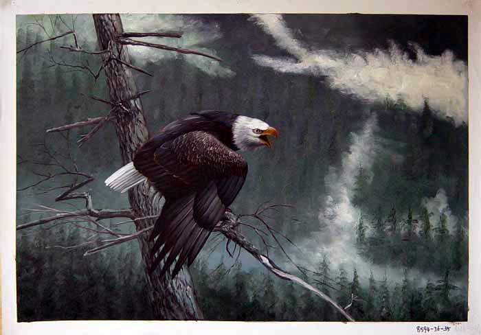 Painting Code#S118594-Bald Eagle Painting