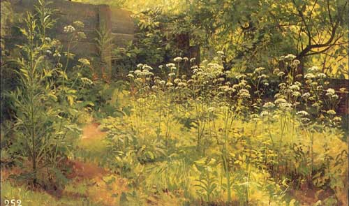 Painting Code#20161-Ivan Ivanovich Shishkin - Aegopodium, Pargolovo (etude)