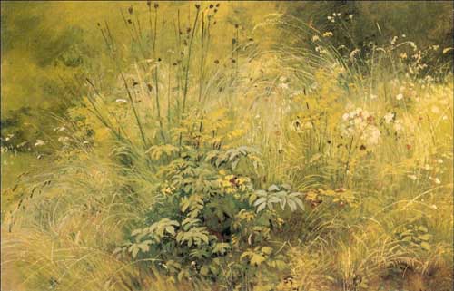 Painting Code#20167-Ivan Ivanovich Shishkin - Herbage (etude)