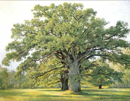 Painting Code#20168-Ivan Ivanovich Shishkin - Oaks in the Old Petergof