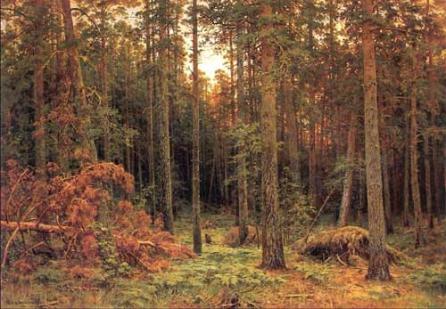 Painting Code#20170-Ivan Ivanovich Shishkin - Piny wood