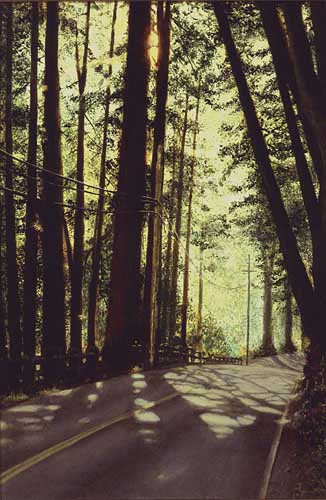 Painting Code#2384-Elliott, Virgil(USA): Roadscape #1: Monte Rio
