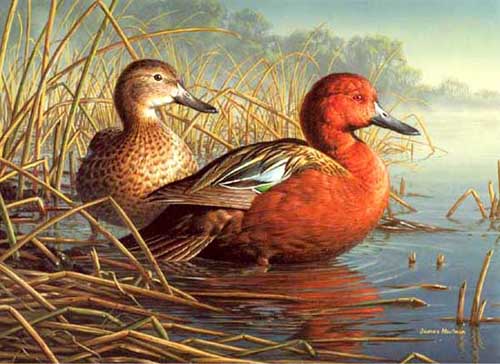 Painting Code#5002-Ducks