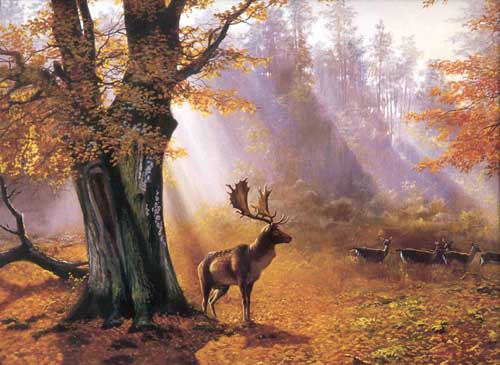 Painting Code#5051-Moose