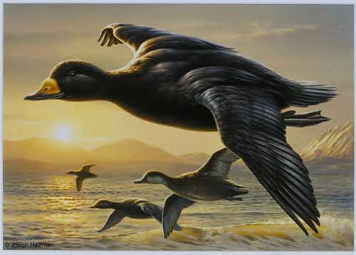 Painting Code#5059-Flying over the Sea