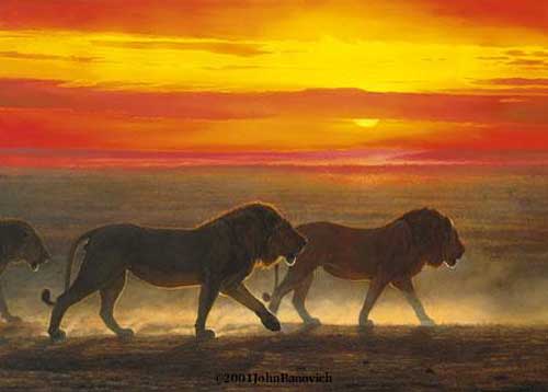 Painting Code#5071-John Banovich: Night Fire