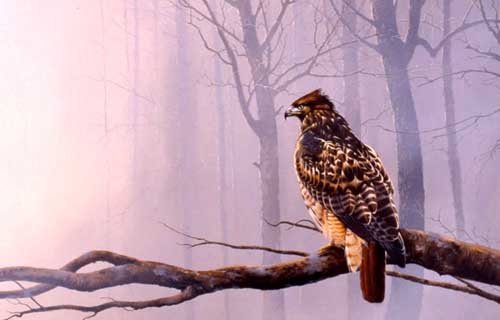 Painting Code#5083-Eagle