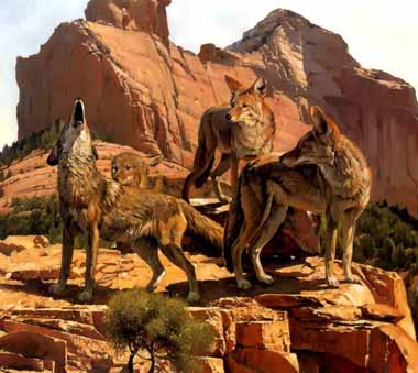 Painting Code#5090-Coyote