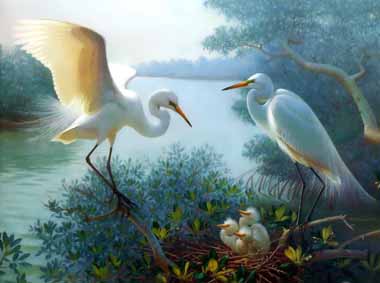Painting Code#5093-Great Egrets & chicks