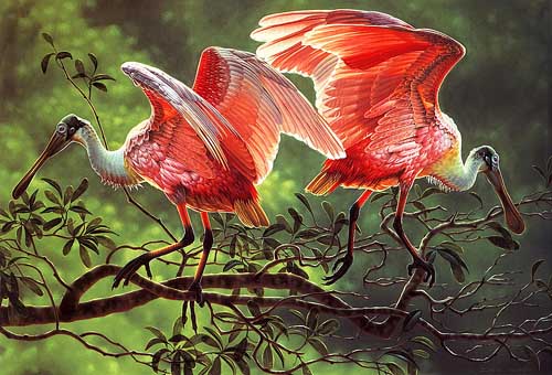 Painting Code#5097-Dee Smith - Rose Adagio