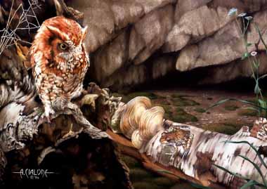 Painting Code#5098-Owl and Tree Frog