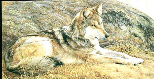 Painting Code#5109-Silent Watch