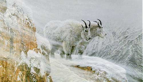 Painting Code#5110-Winter's Fury