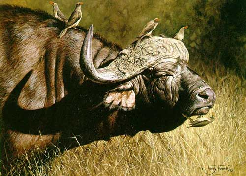 Painting Code#5112-Buffalo