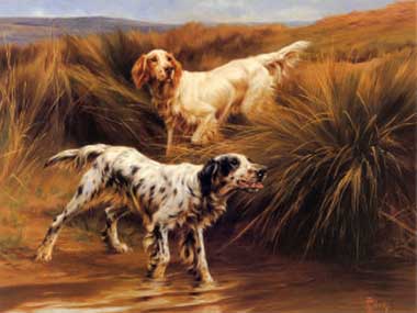 Painting Code#5153-Blinks, Thomas(UK) - Englis Setters in a Marshland