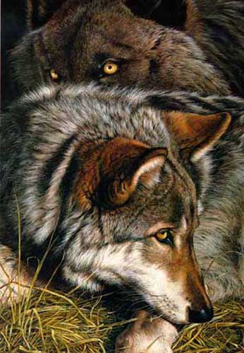 Painting Code#5206-Wolves