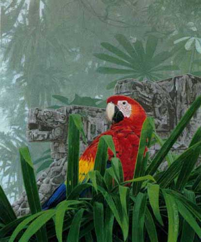 Painting Code#5210-Parrot