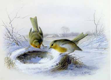 Painting Code#5218-Harry Bright - Last Year's Nest