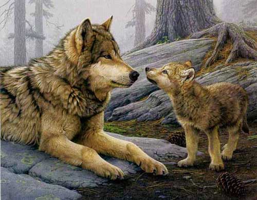 Painting Code#5224-Daniel Smith: Brother Wolf