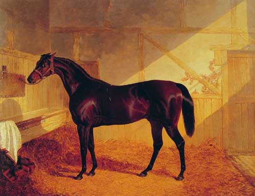 Painting Code#5290-Herring Snr, John Frederick(England): Mr Johnstone's Charles XII in a Stable