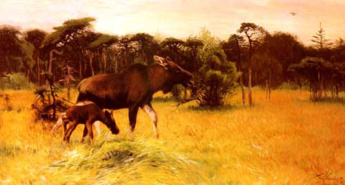 Painting Code#5325-Kuhnert, Wilhelm(Germany): Moose with her Calf in a Landscape