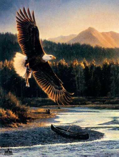 Painting Code#5343-Flying Eagle