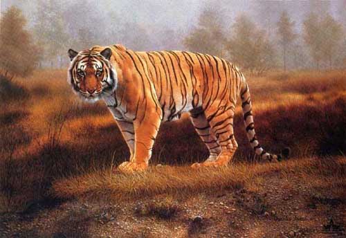 Painting Code#5366-Tiger