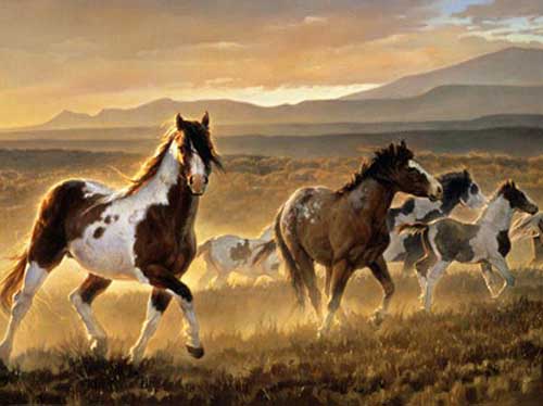 Painting Code#5397-Nancy Glazier:Domino