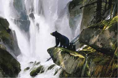 Painting Code#5439-In the Mist