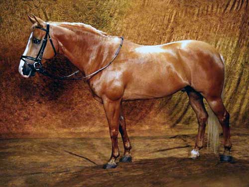 Painting Code#5475-A Horse