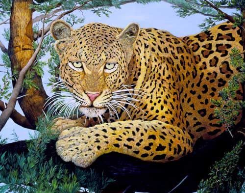 Painting Code#5500-Leopard