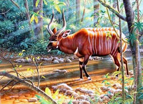 Painting Code#5511-Antelope