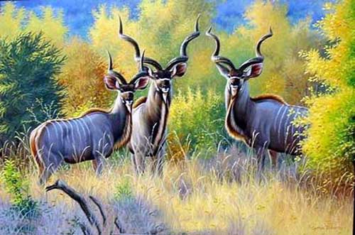 Painting Code#5513-Antelopes