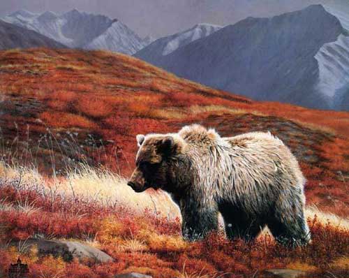 Painting Code#5544-Bear