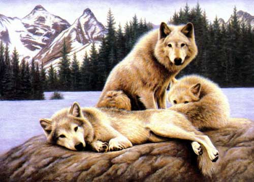 Painting Code#5565-Wolves