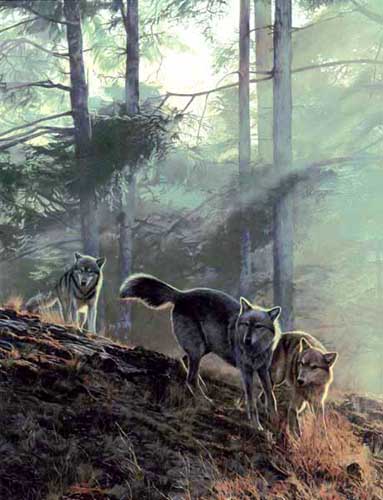 Painting Code#5587-Wolves