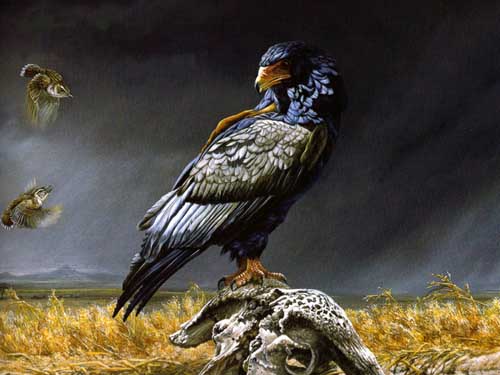 Painting Code#5596-Coming Storm