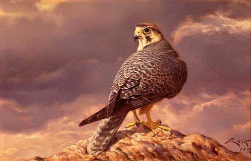 Painting Code#5613-Eagle