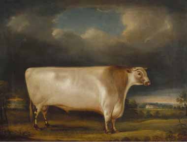 Painting Code#5619-Thomas Weaver - Comet' a Light Roan Short-Horn Bull in a Landscape