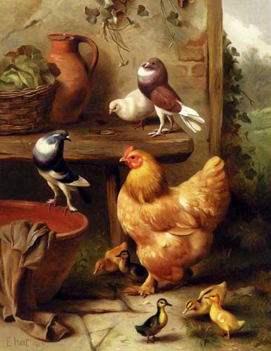 Painting Code#5638-
Hunt, Edgar(UK): A Chicken, Doves, Pigeons And Ducklings