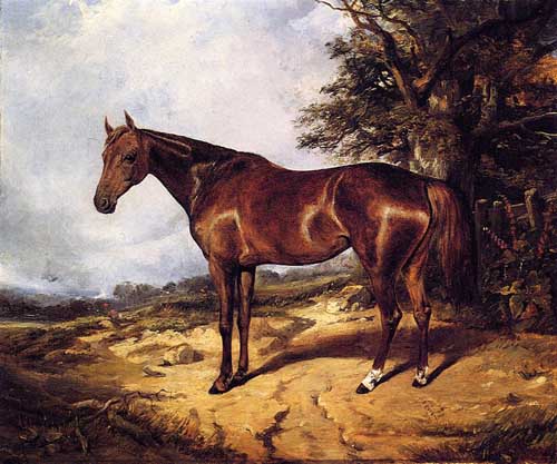 Painting Code#5671-Arthur Fitz William Tait: Thoroughbred
