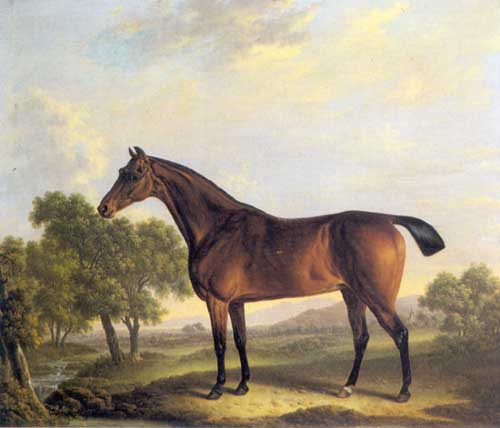 Painting Code#5707-Charles Towne - Chestnut Hunter in River Landscape