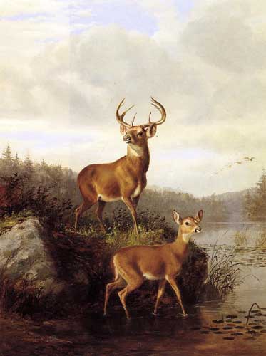 Painting Code#5716-Arthur Fitzwilliam Tait - Buck and Doe