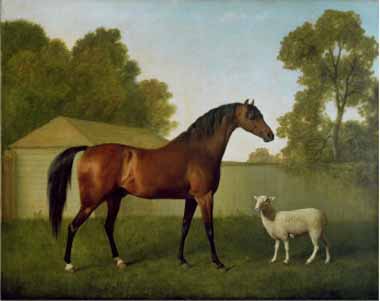 Painting Code#5752-George Stubbs - Dungannon, the Property of Colonel O'Kelly