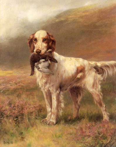 Painting Code#5767-Blinks, Thomas(UK) - English Setter
