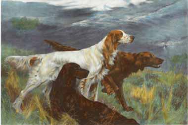 Painting Code#5771-Blinks, Thomas(UK) - Unity