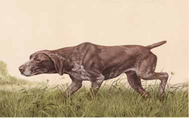 Painting Code#5807-Sandro Nardini - Bracco