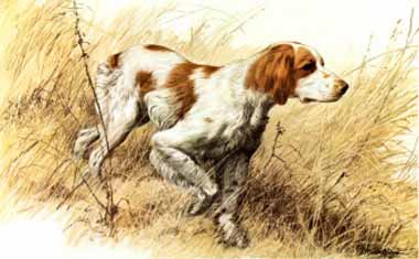 Painting Code#5808-Sandro Nardini - Bretton