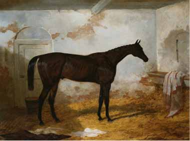 Painting Code#5829-Federico Ballesio - Mr. A.W. Hill's Bay Colt Sweetmeat in a Loose Box